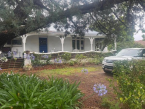 Belmore Cottage - Historic home in Central South